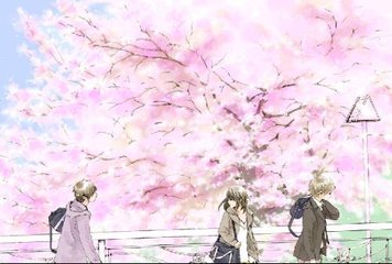 红杏研究所
